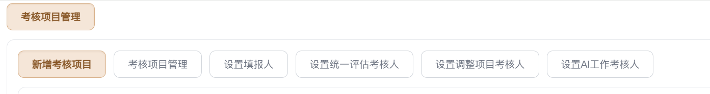 考核项目管理